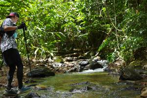 BIB: 
                            <button type="button" onclick="openModal(21840653)" class="btn btn-primary btn-sm float-right btn-popup" data-toggle="modal" data-target=".modal-high-quality">
                        <i class="fas fa-shopping-cart"></i> Add to Cart
                    </button>
                                            <button type="button" onclick="isThisMe(21840653, true)" class="btn btn-success btn-sm float-right btn-popup btn-isme hidden" data-toggle="tooltip" data-placement="bottom" title="นี่คือรูปของคุณใช่ไหม คลิกที่นี่เพื่อเอาเข้าอัลบั้ม">
                        <i class="fas fa-plus"></i> Add to album
                    </button>
                    <button type="button" onclick="isThisMe(21840653, false)" class="btn btn-warning btn-sm float-right btn-popup btn-isnotme hidden">
                        <i class="fas fa-ban"></i> Remove from album
                    </button>